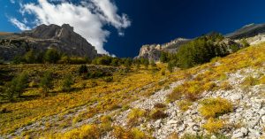 Lire la suite à propos de l’article Combe d&rsquo;Aurouze au Pic de Bure