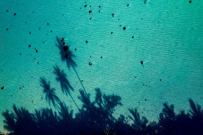 Voyages