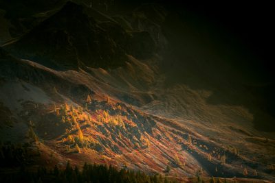 Or et automne